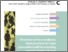 [thumbnail of Overview of the worldwide best practices for rape prevention and for assisting women victims of rape.pdf]